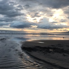 Fuck Donald Trump V1.0