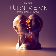 Macau - Turn Me On (David Harry Remix)