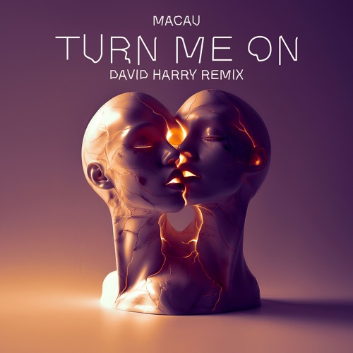 Macau - Turn Me On (David Harry Remix)