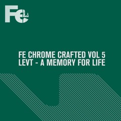 LEVT - A Memory For Life