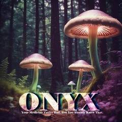 ONYX - Your Medicine Tastes Bad, But You Already Knew That.