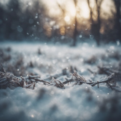 Total Winter Nostalgia