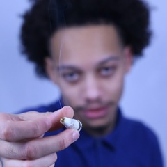 Zooted (Prod. failedplanb)