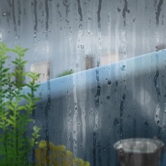 Watching the night raindrops fall