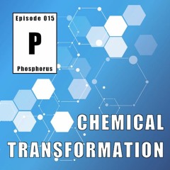 CHEMICAL TRANSFORMATION #015