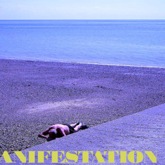 LA MANIFESTATION