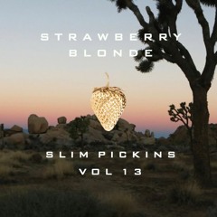 Slim Pickins Vol. 13