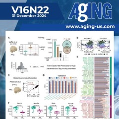 Epigenetic Clocks Reveal Biological Age at Cell-Type Resolution