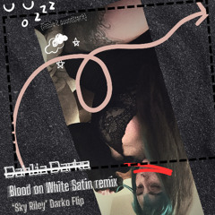 Blood on White Satin - Sky Riley Darko FLIP (Smile 2 Soundtrack)