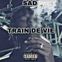 TRAIN DE VIE