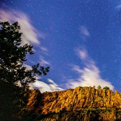 Sadie Gustafson-Zook - Birdsong