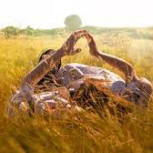 James Wilde & Paul Sirrell - History