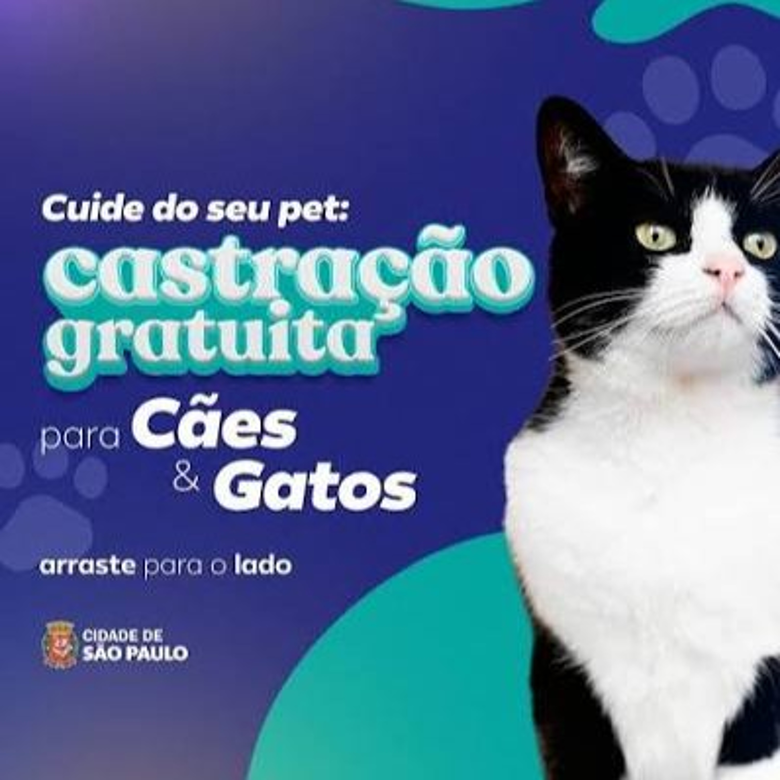 SAMPA E VOCÊ - FELIPE PALMA - CASTRAÇÃO GRATUITA EM SP episode artwork