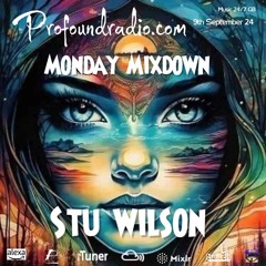 #204 Profound Radio  Progressive House  @djstuwilson