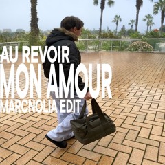 au revoir mon amour marcnolia edit
