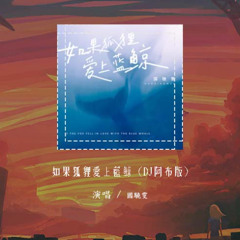 国骁雯 - 如果狐狸爱上蓝鲸 (DJ阿布版)「如果狐狸爱上蓝鲸 你就会给我真情」【動態歌詞/pīn yīn gē cí】#国骁雯 #如果狐狸爱上蓝鲸 #動態歌詞