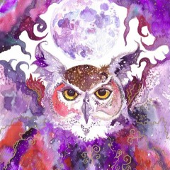 nocturnal (prod. sensüs)