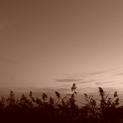 Fenn, a mélyben (Szabó Mátyással)