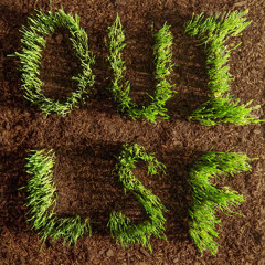 Pintes Musicales 2024-04