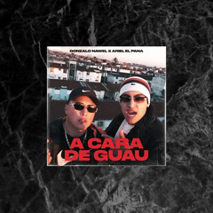 A Cara de Guau