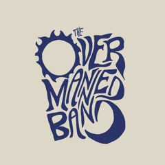 Camaleón (Home Recording, 2019)