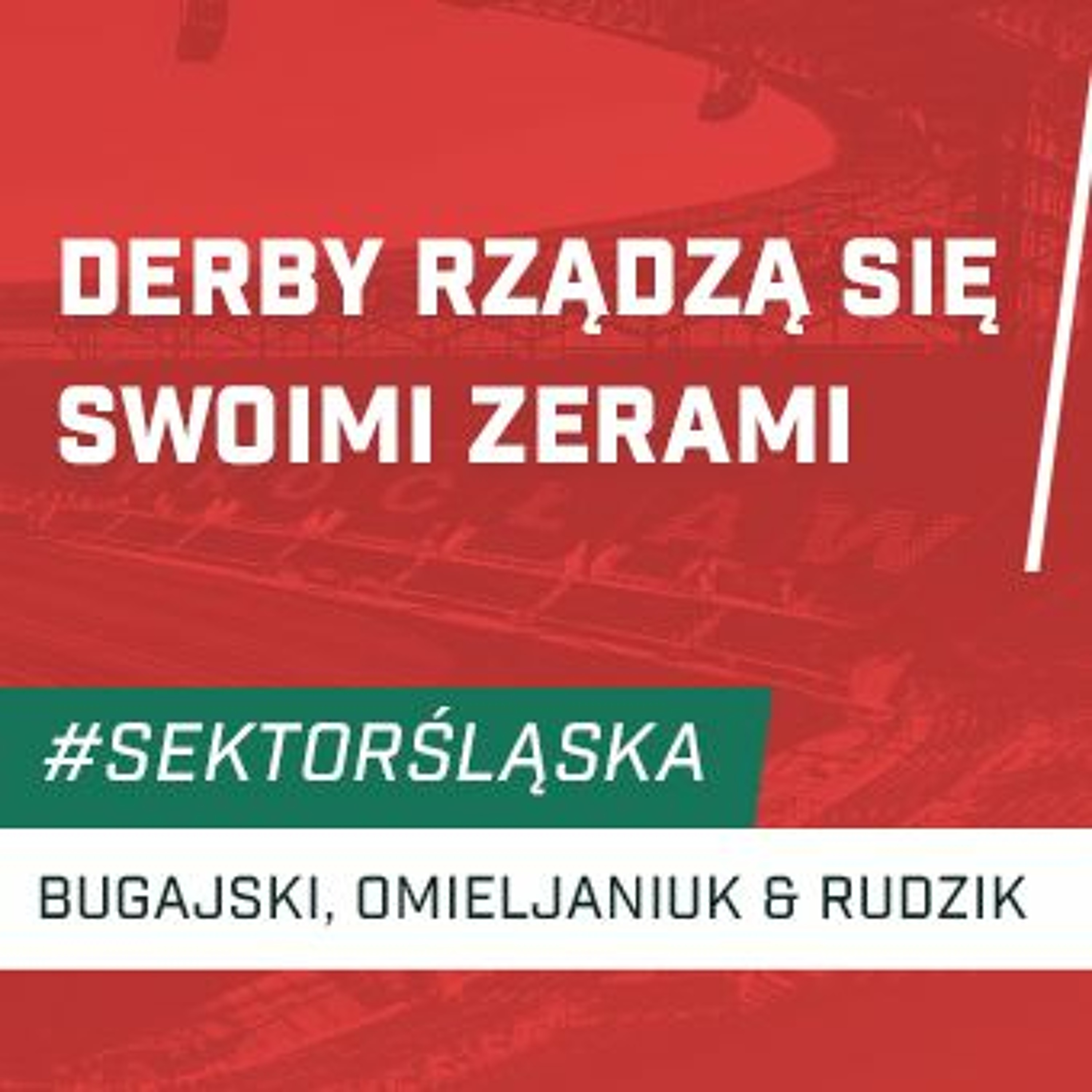Śląsknet