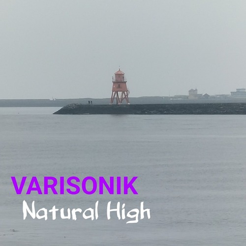 VARISONIK - Natural High