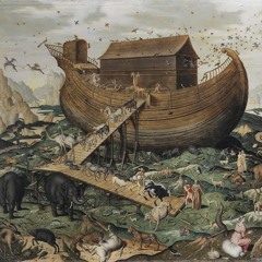 Noahs Ark