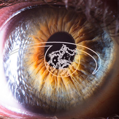 overshine @ MKTrauma [Venue MOT, 20/02/2026]