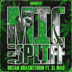 BRIAN BRAINSTORM FT. XL MAD - MIC & SPLIFF