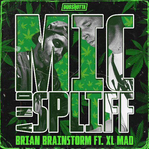 BRIAN BRAINSTORM FT. XL MAD - MIC & SPLIFF