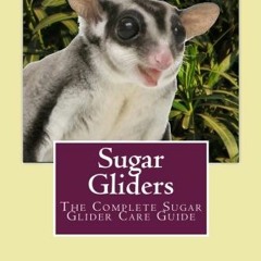 Get [PDF EBOOK EPUB KINDLE] Sugar Gliders: The Complete Sugar Glider Care Guide by  Sandy Duncan �