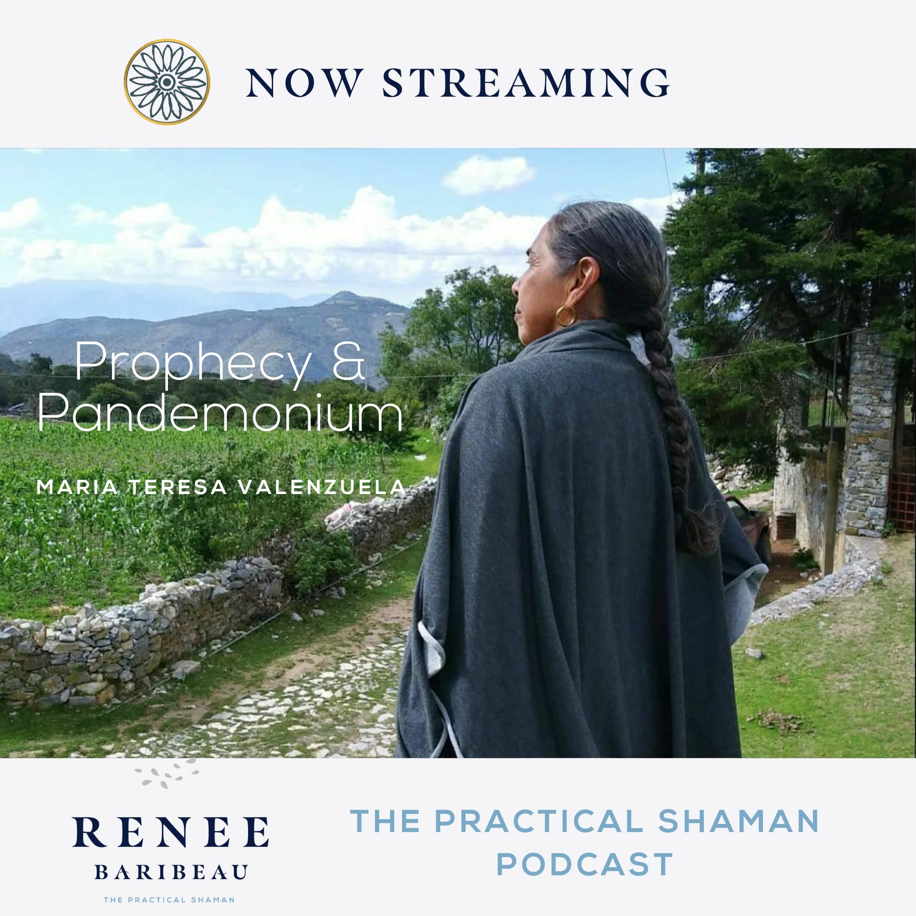 The Practical Shaman