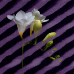 Terz Nervosa - To The Core (Sundl Remix)