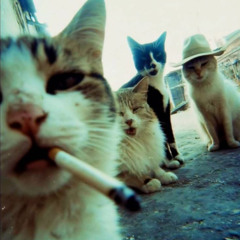 PussyWitDaCig prod. himura