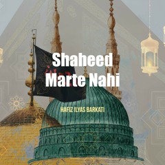 Shaheed Marte Nahi