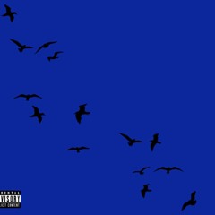 It's CNote - Birds (Ft - Chris King)