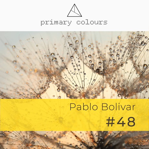 Primary [colours] Mix Series #48 - Pablo Bolivar (Live Vinyl DJ @ The Deep Room)