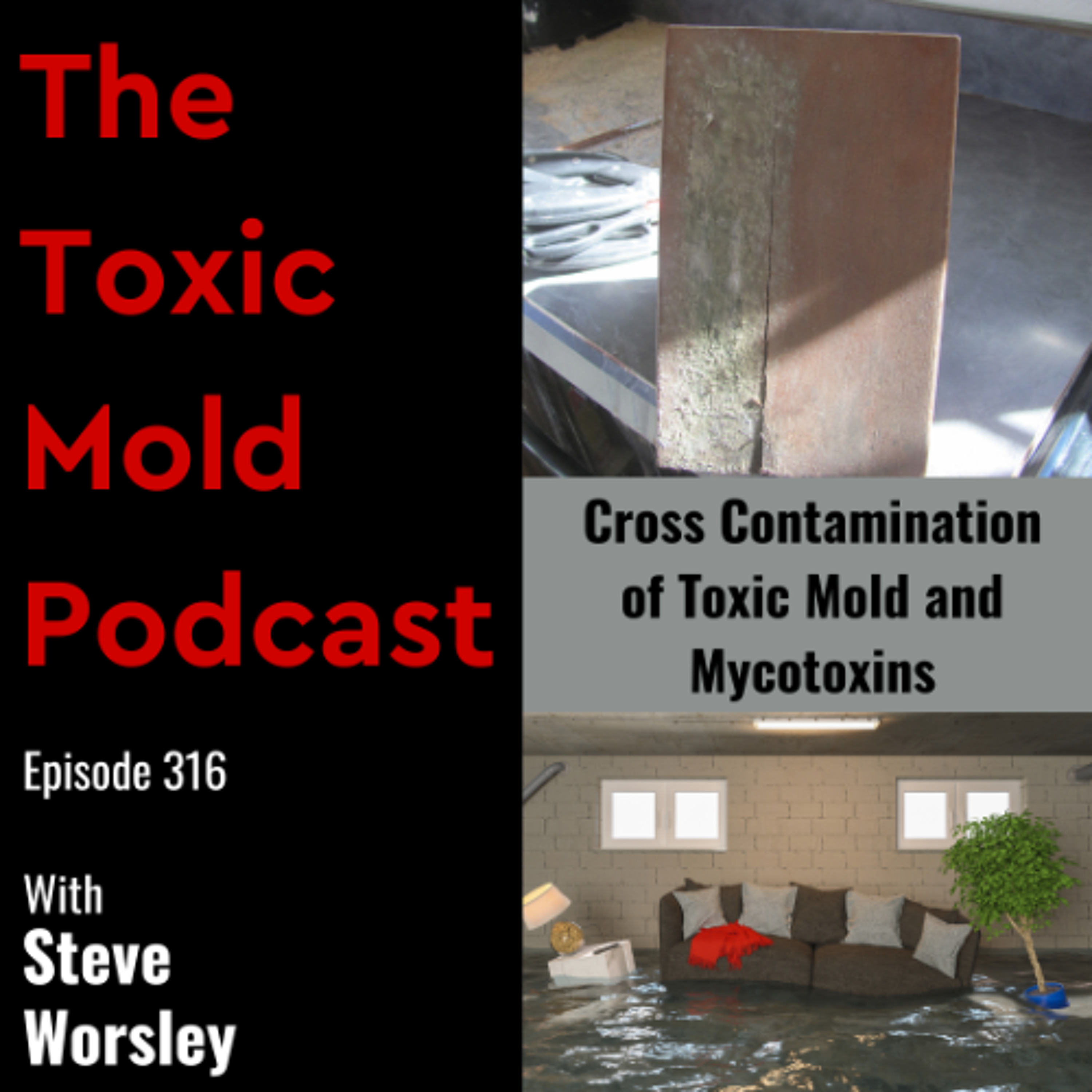 EP 316: Cross Contamination of Toxic Mold and Mycotoxins
