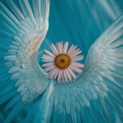 Grace from Above