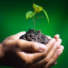 Teyata Om - Gate Gate Paragate Parasamgate Bodhi Soha