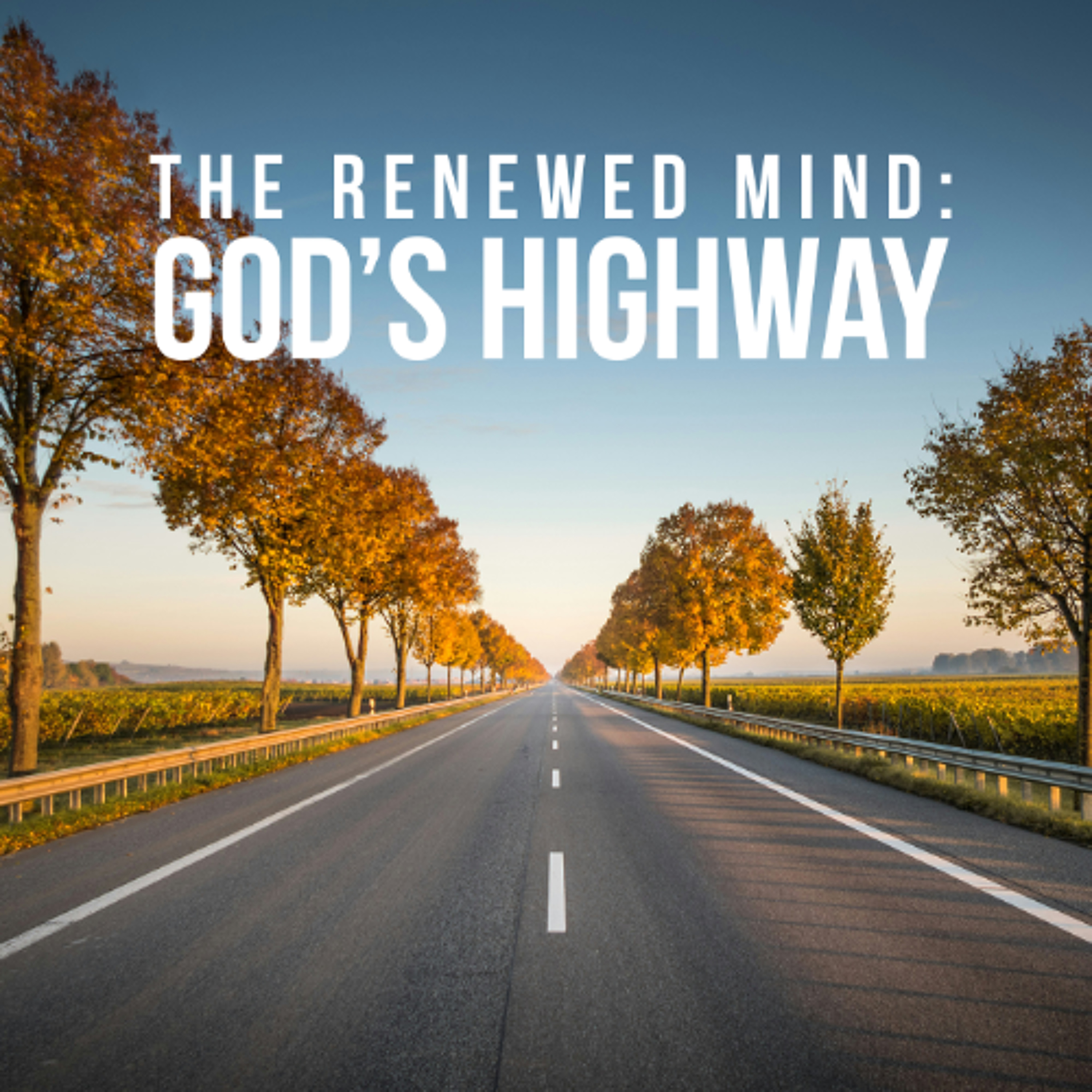 The Renewed Mind - God’s Highway episode artwork