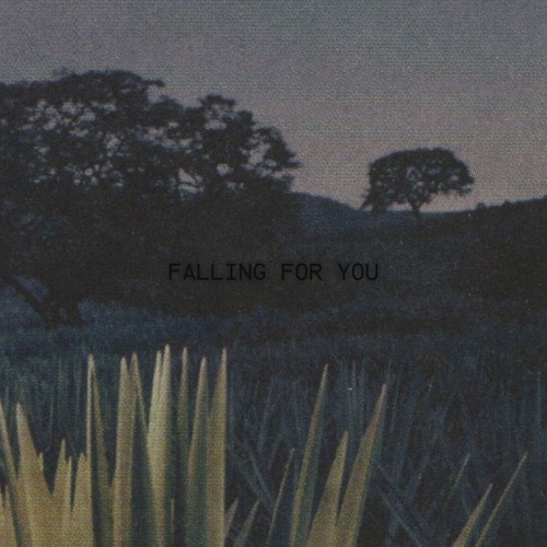 Falling For You