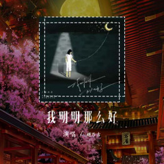 赵乃吉 - 我明明那么好「我明明那么好 被你亲手丢掉」【動態歌詞/Lyrics Video】#赵乃吉 #我明明那么好 #動態歌詞