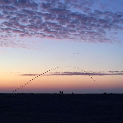 Discretionary Praise