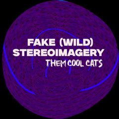 Stereoimagery - Fake (Wild) [Them Cool Cats]
