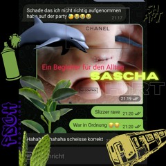Sascha Hirt - Techno sein Vater