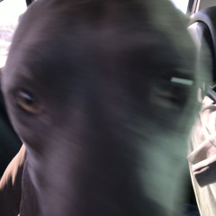 worryboutyoself(demo)