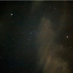 Orbite