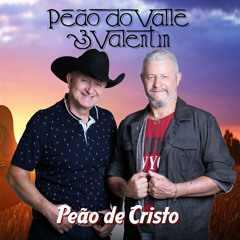 Stream Rei do Gado by Peão do Vale e Valentim